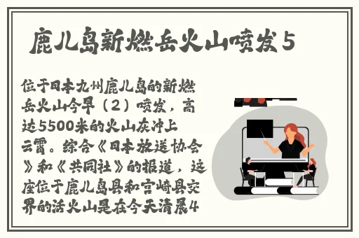 中国免费X站下载