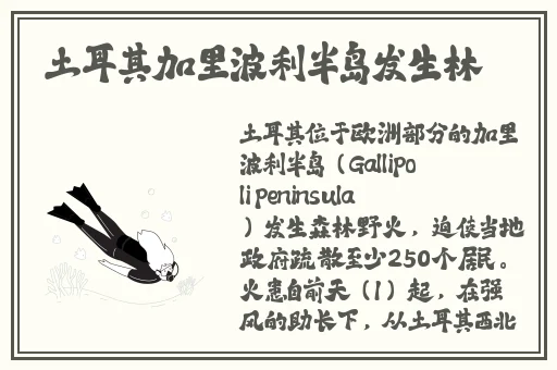 帅哥互吃JJ